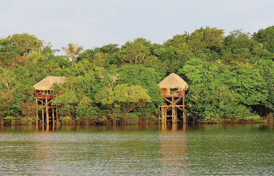 Rustic stilt lodges nestled along the water's edge in the Amazon rainforest, surrounded by lush green jungle. 