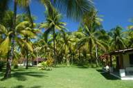 JARDIM