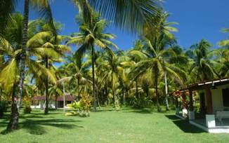 JARDIM
