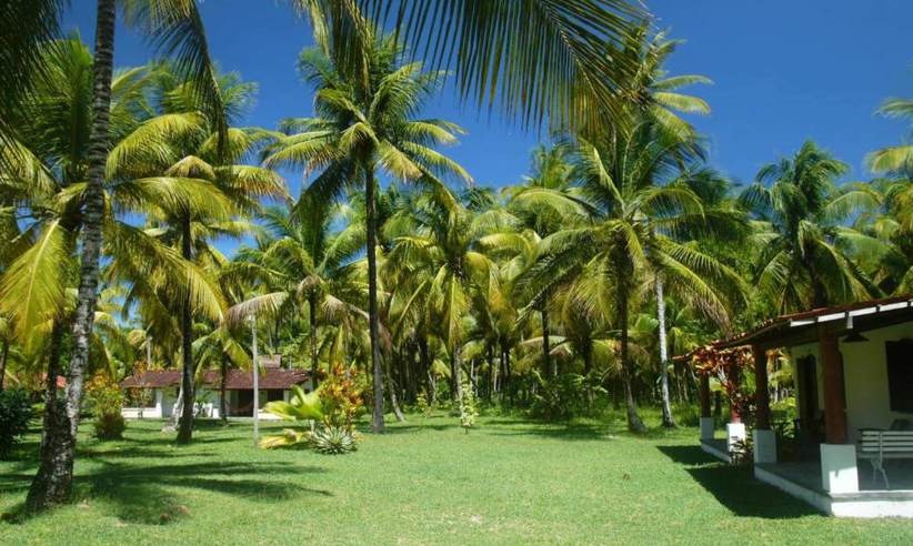 JARDIM