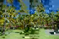JARDIM
