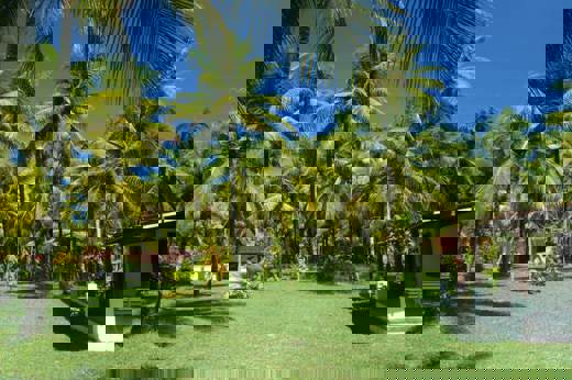JARDIM