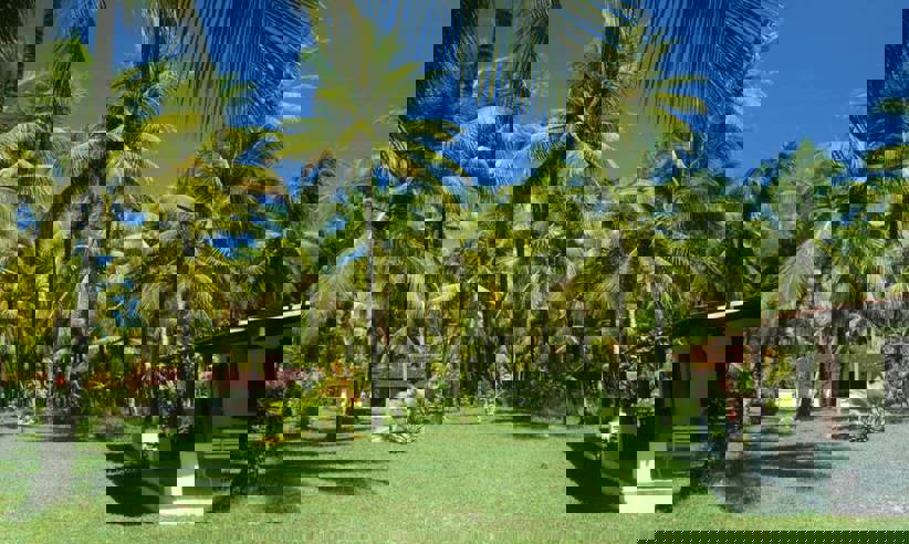 JARDIM