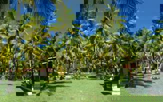 JARDIM