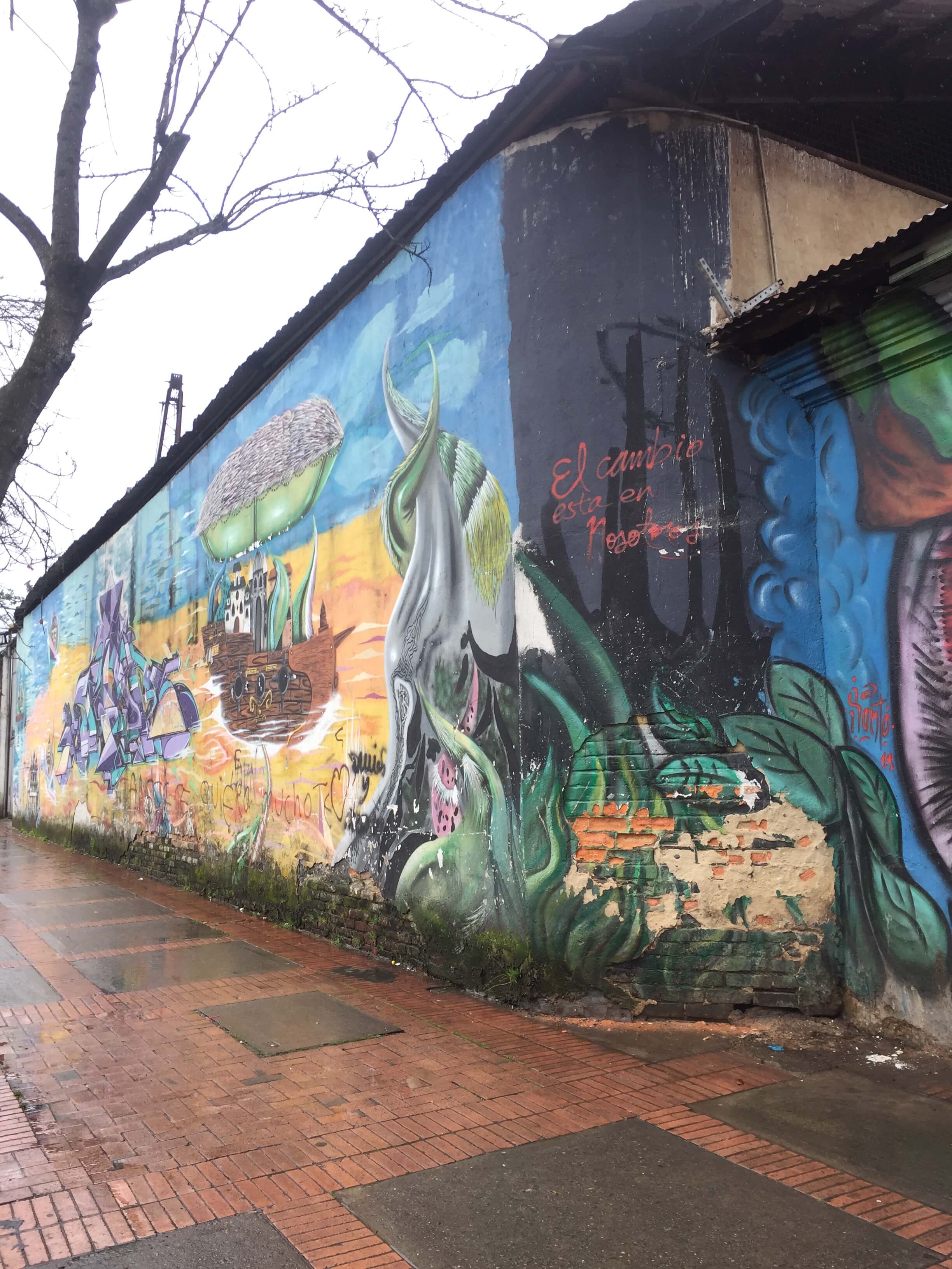 Bogota (17)