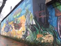 Bogota (17)