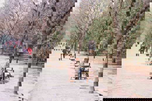 Stroll in the park