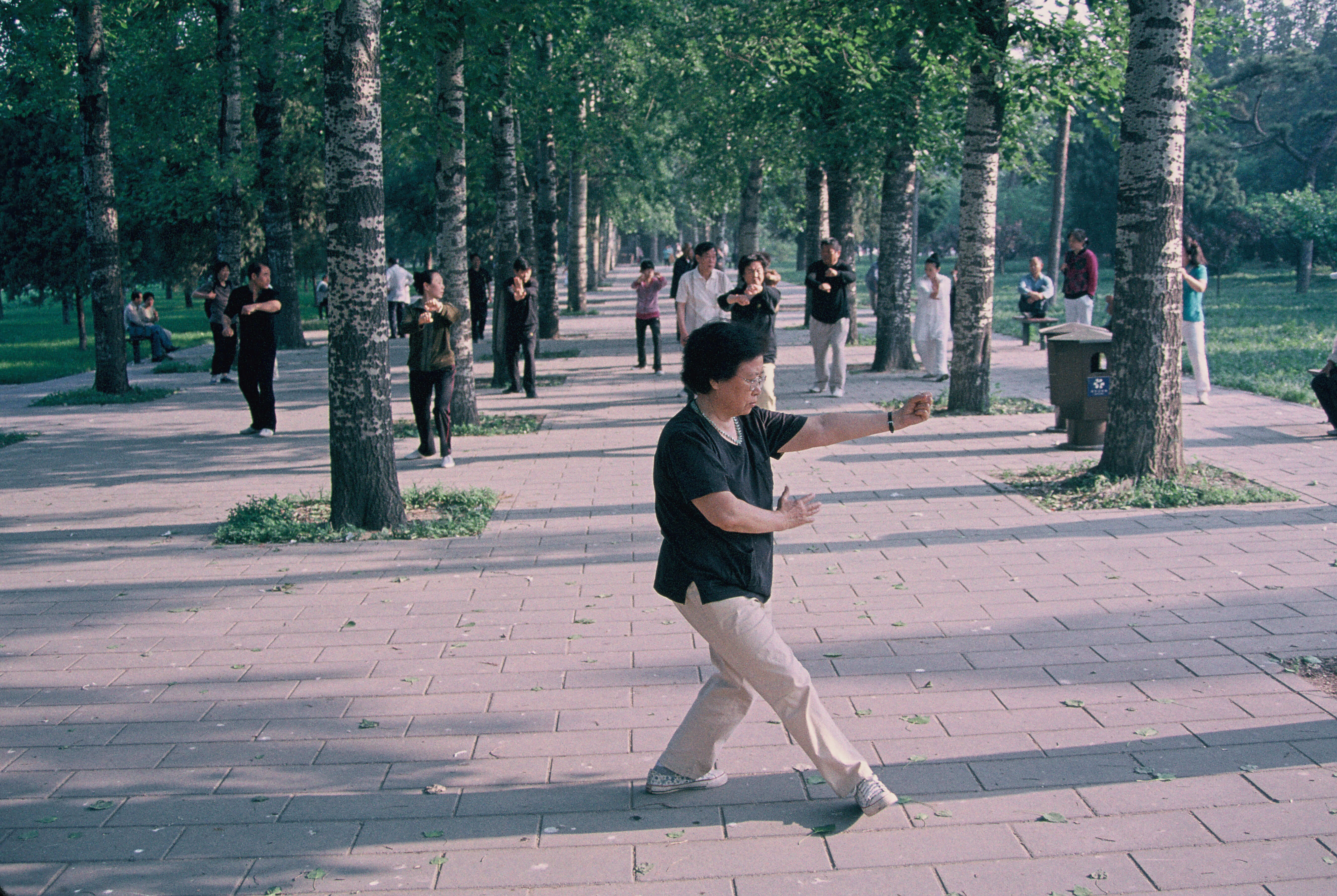 Tai Chi in the park