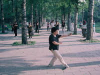 Tai Chi in the park