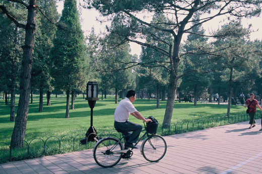 Cycling in the park