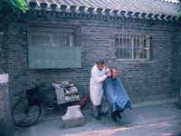 Mobile hairdresser