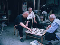Roll1 B006449 R1 44 44