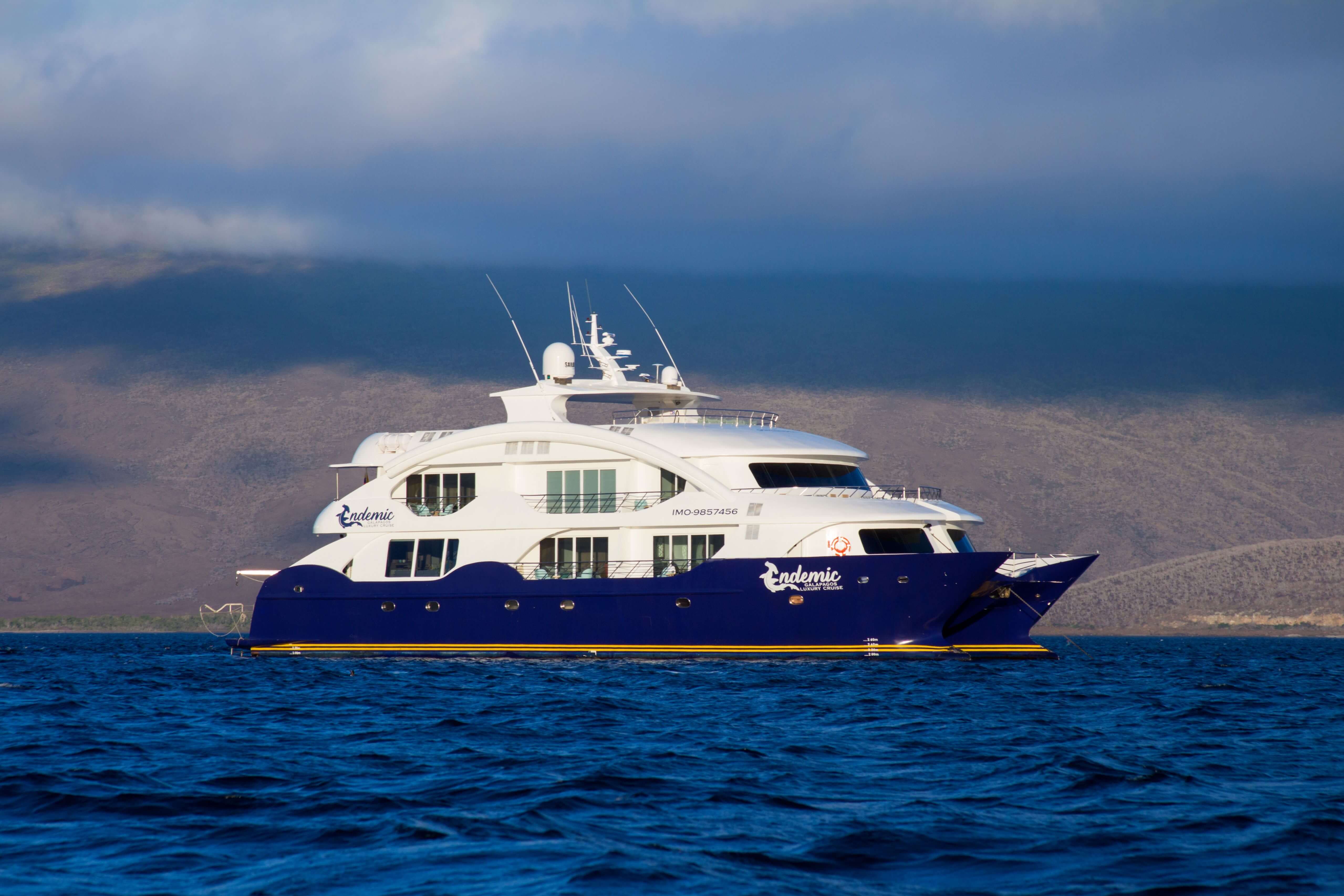 The luxury catamaran Endemic 