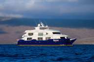 The luxury catamaran Endemic 