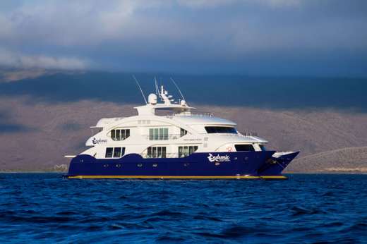 The luxury catamaran Endemic 
