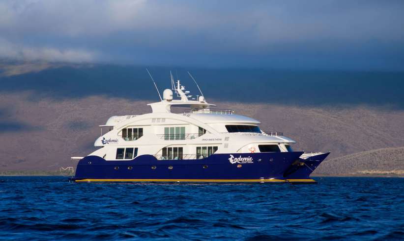 The luxury catamaran Endemic 