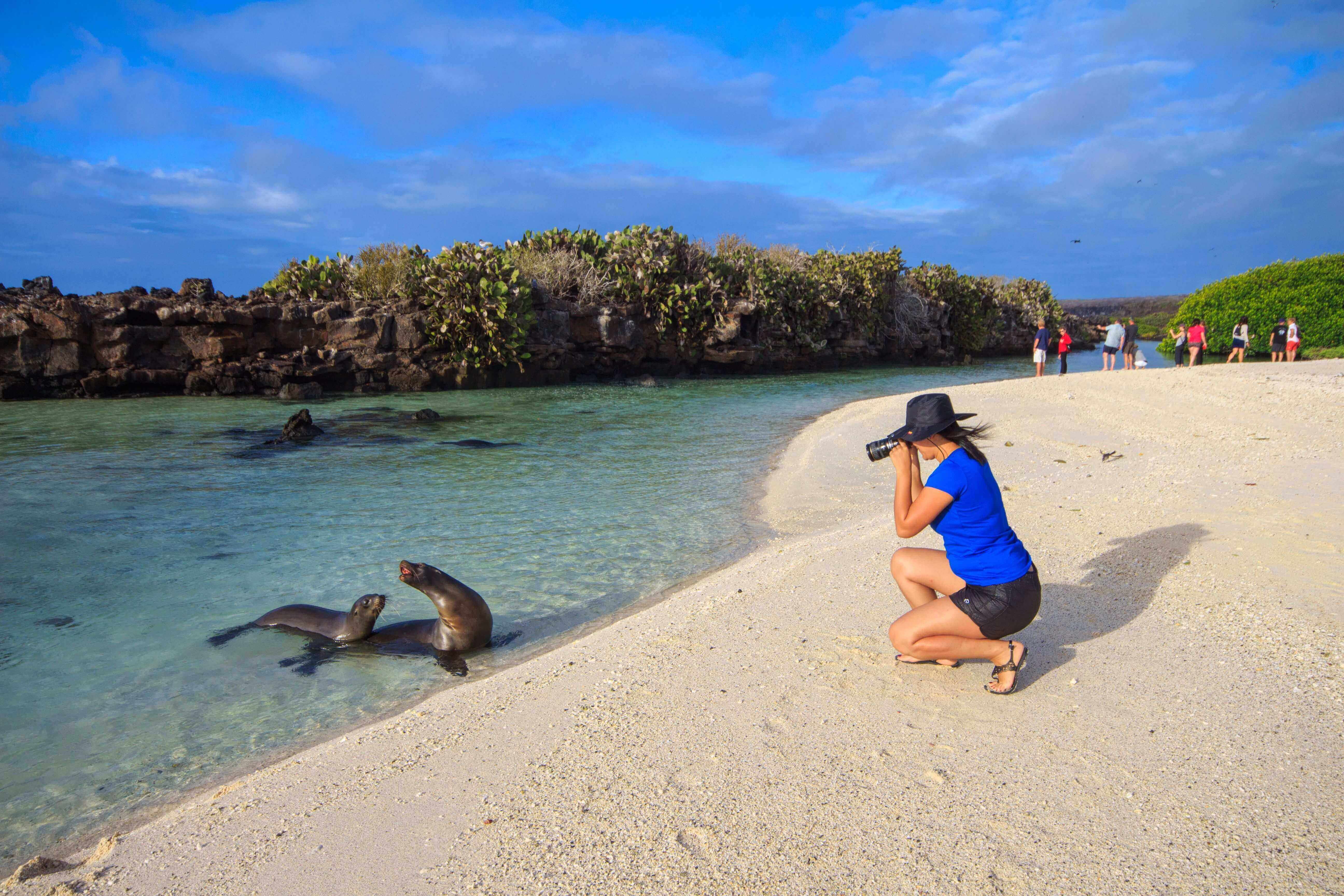 Getting safely close to the wildlife - quite magical