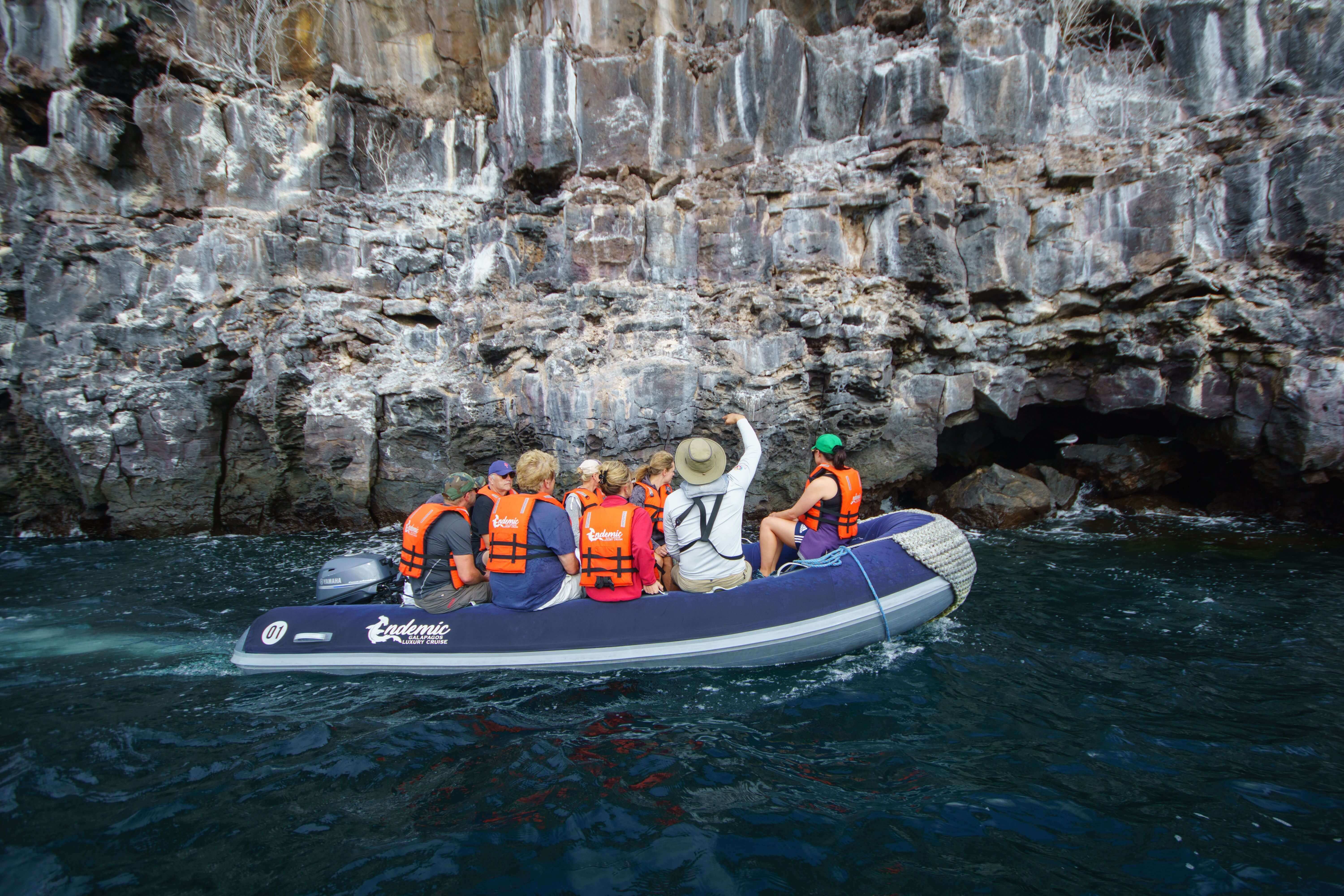Exploring the coast by zodiac