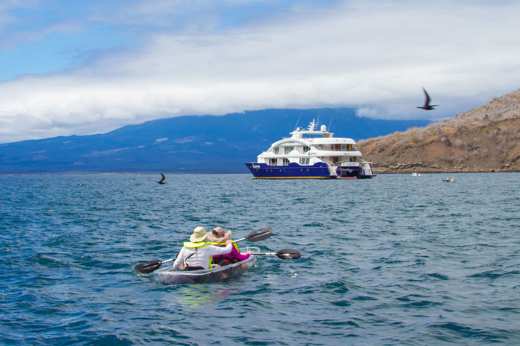 The Endemic has sea kayaks for guest to enjoy