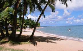 Palm-fringed white sand beach and calm blue sea at Praia do Forte in Bahia, Brazil. 