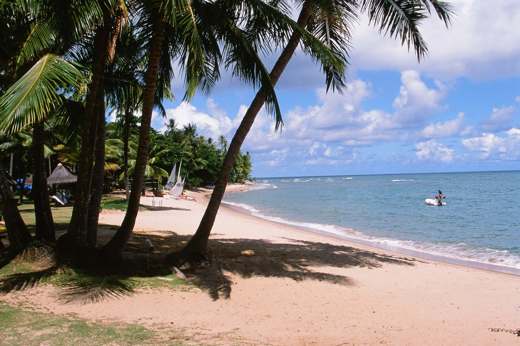 Palm-fringed white sand beach and calm blue sea at Praia do Forte in Bahia, Brazil. 