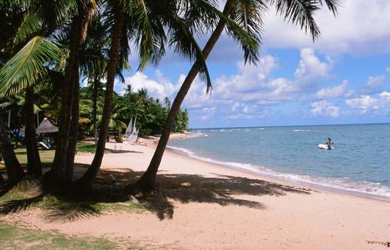 Palm-fringed white sand beach and calm blue sea at Praia do Forte in Bahia, Brazil. 