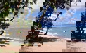 000045620007