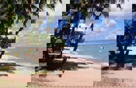 000045620007