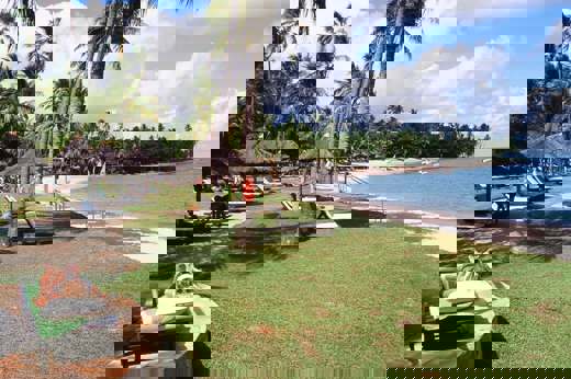 000045620025