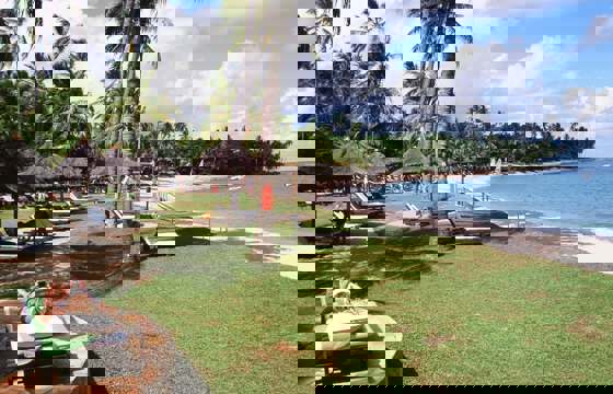 000045620025