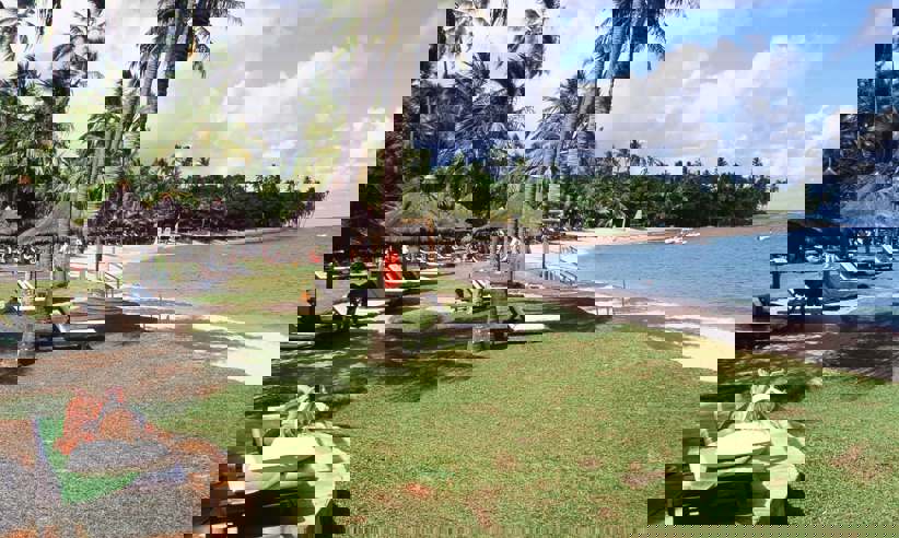 000045620025