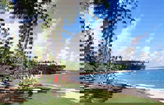000045620027