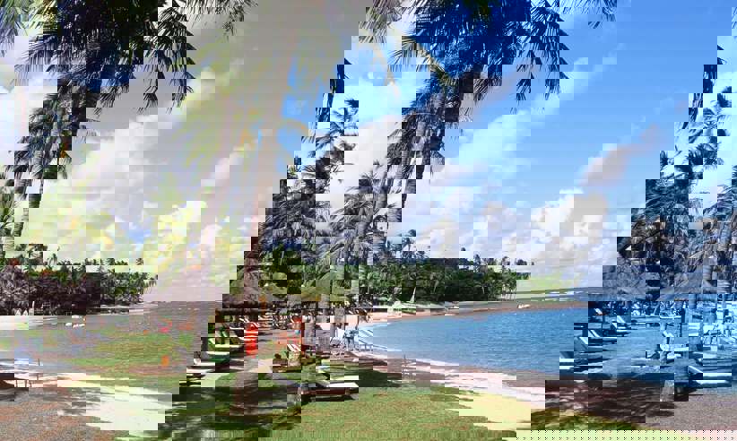 000045620027
