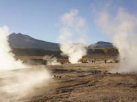 Steam rises from El Tatio Geysers near San Pedro de Atacama, a surreal geothermal field in Chile's Altiplano. 