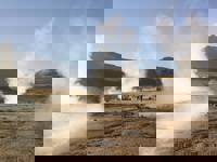 Steam rises from El Tatio Geysers near San Pedro de Atacama, a surreal geothermal field in Chile's Altiplano. 