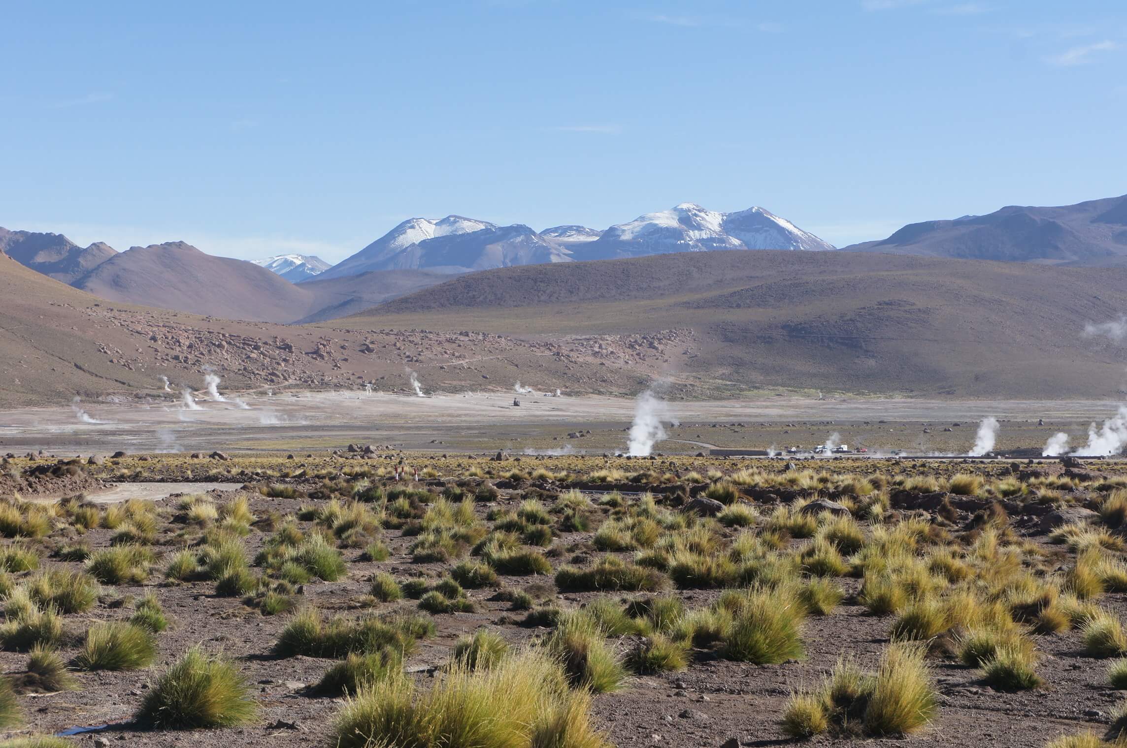 Morning steam rises from El Tatio Geysers with tussock grass and Andean peaks in the Atacama Desert. 