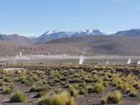 Morning steam rises from El Tatio Geysers with tussock grass and Andean peaks in the Atacama Desert. 