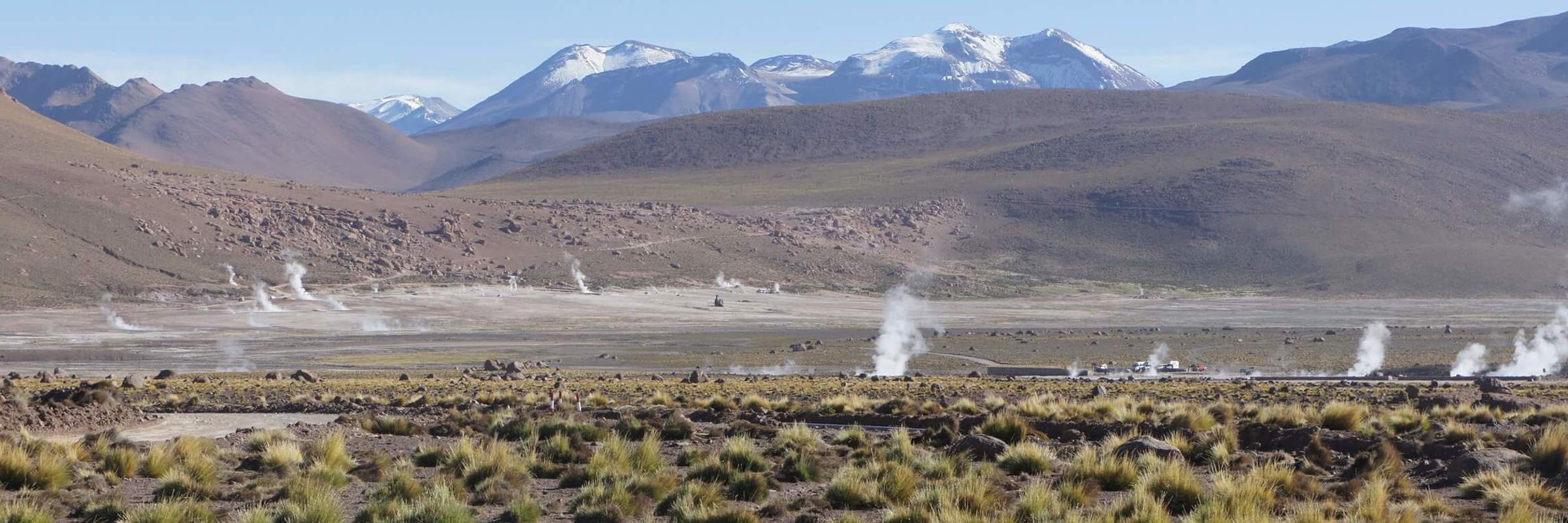 Morning steam rises from El Tatio Geysers with tussock grass and Andean peaks in the Atacama Desert. 