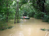 Canoe excursion through the flooded rainforest near Turtle Lodge in the Brazilian Amazon. 