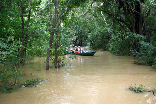 Canoe excursion through the flooded rainforest near Turtle Lodge in the Brazilian Amazon. 