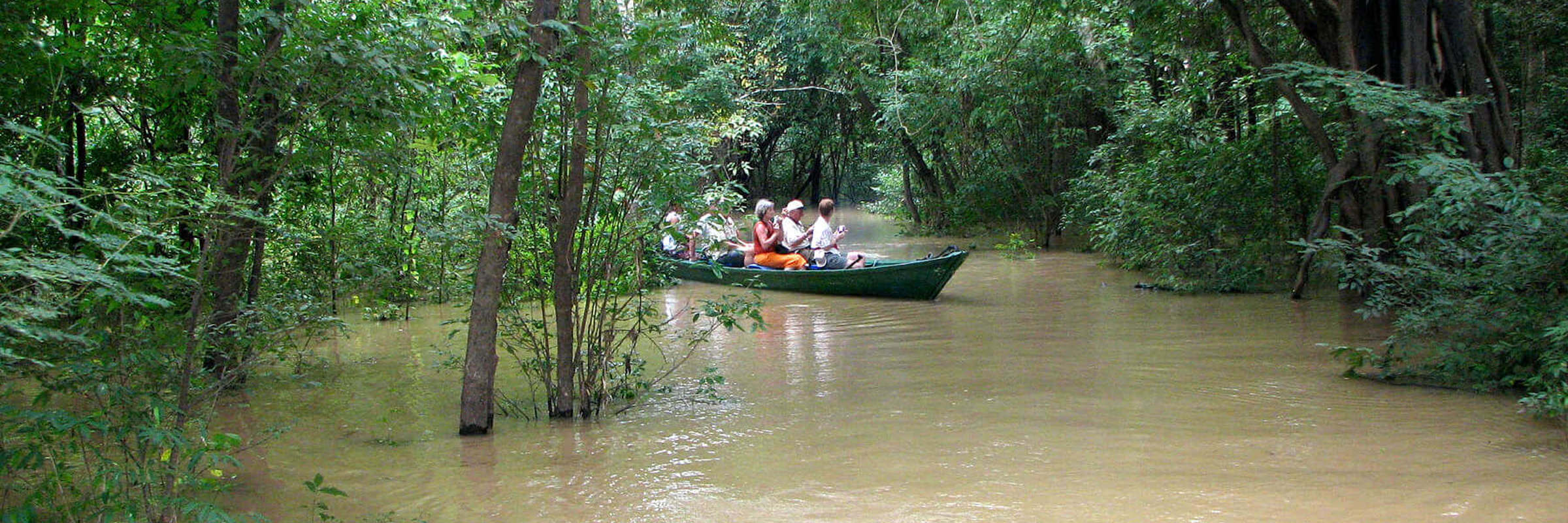 Canoe excursion through the flooded rainforest near Turtle Lodge in the Brazilian Amazon. 