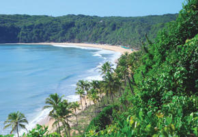 PIPA Beach