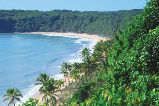 PIPA Beach