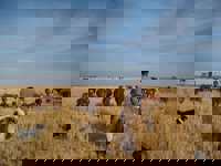 Wide open spaces