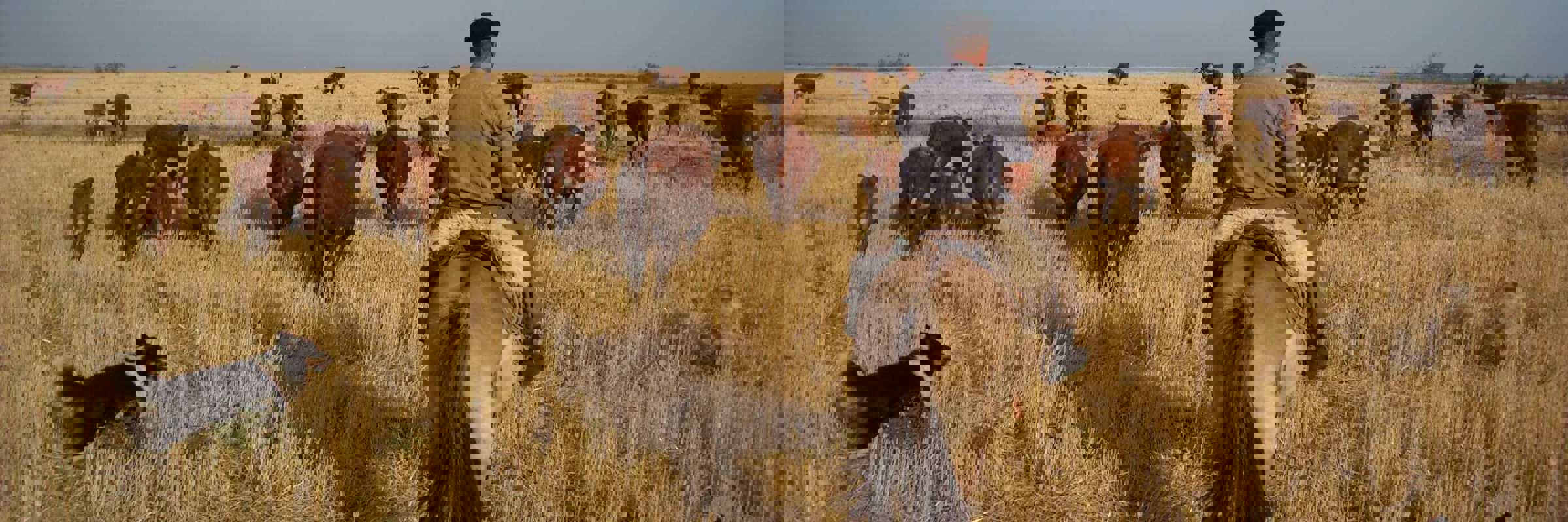 Wide open spaces