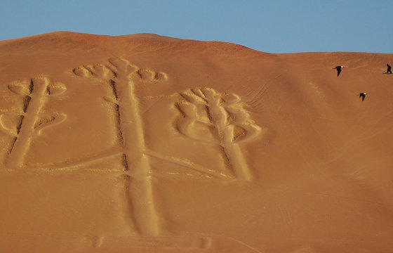 Paracas