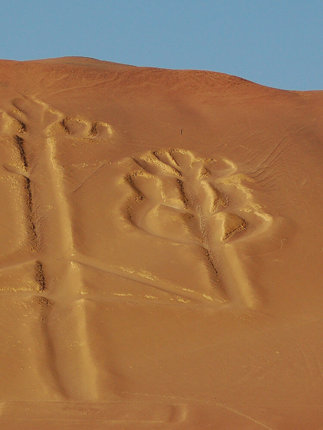 Paracas