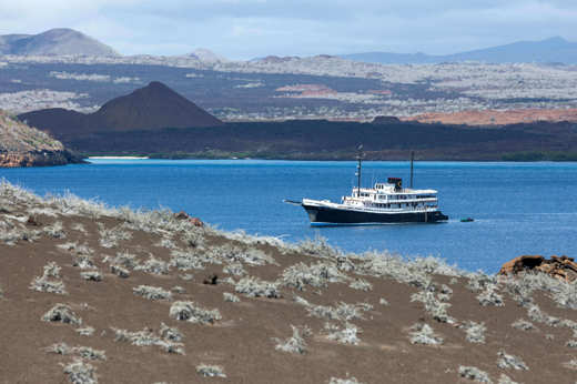 The Evolution moored at Bartolome island