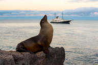The joy of the Galapagos