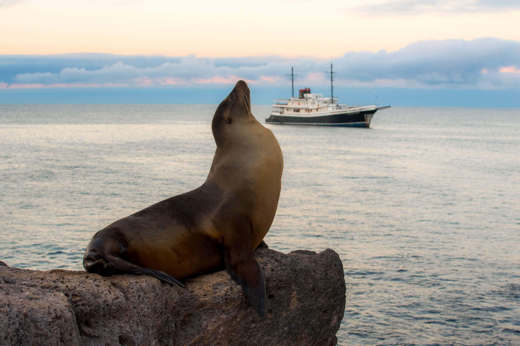 The joy of the Galapagos